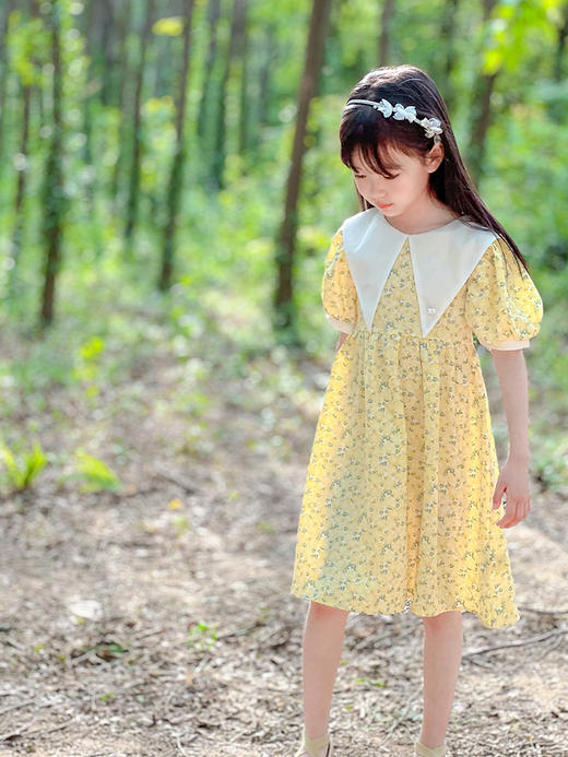 非质量问题不退不换哦~夏菊连衣裙 商品图4