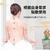 【买三送一！香港中科中药三伏贴】一盒30贴装，粘贴牢固贴合曲线全身可用 亲肤舒适透气 草本植萃春夏养阳三伏贴粉丝专属 商品缩略图2