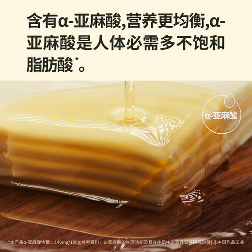 鱼sir【奶酪博士】奶酪片 81%干酪含量 83g/5袋（共25片） 商品图1