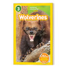 英文原版 NG Kids Readers L3 Wolverines 金刚狼 美国国家地理读本 英文版 进口英语原版书籍 商品缩略图0