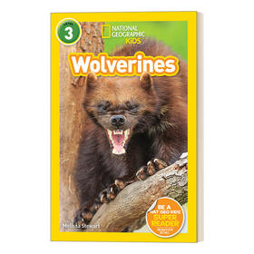 英文原版 NG Kids Readers L3 Wolverines 金刚狼 美国国家地理读本 英文版 进口英语原版书籍