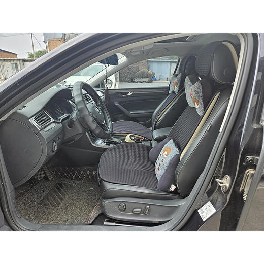 大众 帕萨特 330TSI DSG尊荣版【长租-北京】 商品图6