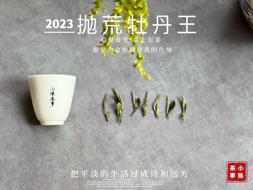 【2023春茶】2023抛荒牡丹王，冰雹加持下的高山白茶精灵，7年来首次推出的高品质白茶！ 商品图5