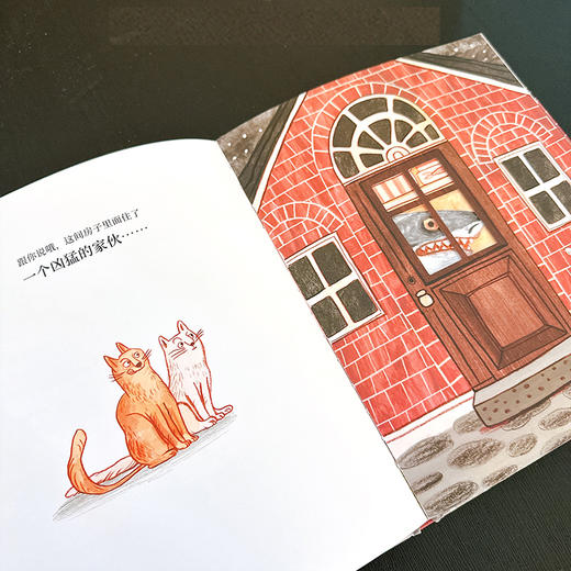 【赠绿色冰箱贴+回形针】世界精选图画书：窗里有什么？ 3~10岁精装儿童绘本 商品图5