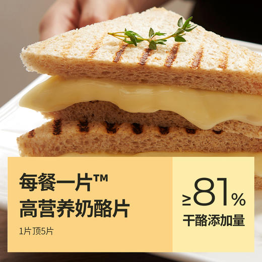 鱼sir【奶酪博士】奶酪片 81%干酪含量 83g/5袋（共25片） 商品图0