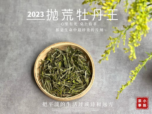 【2023春茶】2023抛荒牡丹王，冰雹加持下的高山白茶精灵，7年来首次推出的高品质白茶！ 商品图2