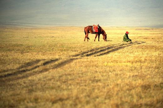 蒙古国深度游： ——乌兰巴托、木伦库苏古尔湖、驯鹿秘境11天 商品图8