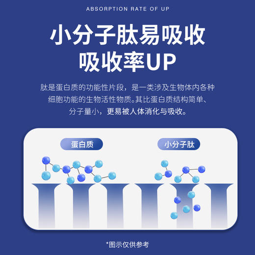 养瑞和丨人参海参低聚肽·70g·14袋/盒·海参肽牡蛎肽人参肽大豆肽骨胶原蛋白肽亚麻籽油 商品图4