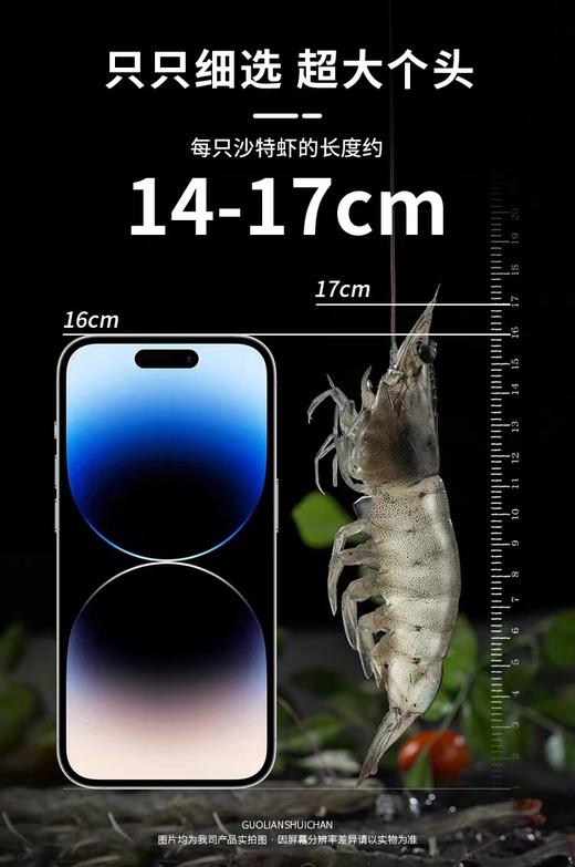 沙特皇家海域大虾 4斤重原装进口 生鲜速冻海鲜生鲜 盐冻冷冻虾超大号白对虾沙特虾 商品图4