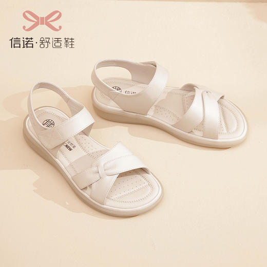 23L359-W16 商品图0