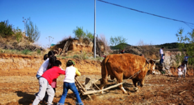  谦益自然学院——中医文化亲子夏令营开营 