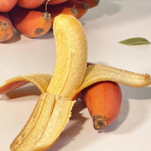 红美人香蕉/苹果蕉组合 商品图2