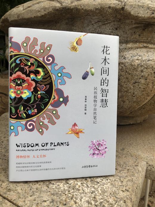 花木间的智慧：民族植物学自然笔记 商品图8