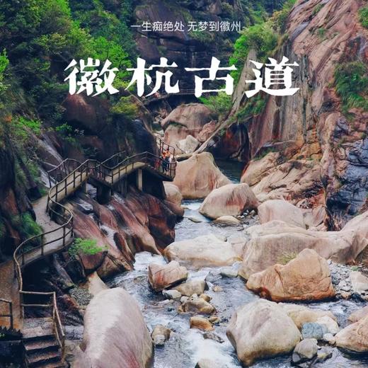 五一3天【徽杭古道·立减80元】西天目山大树王国の浙江版熊野千年古道-浮憩谷-绩溪龙川 商品图1