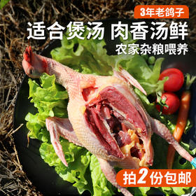 【粮食喂养】农家散养三年老鸽子  土鸽  肉质紧实  急冻锁鲜  滋补炖汤  400g