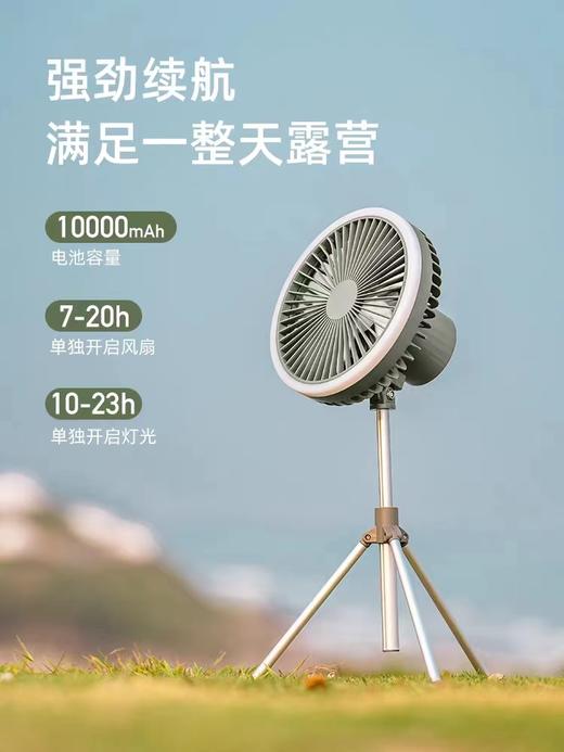 山韵DQ216可遥控可摇头超长续航露营风扇带灯帐篷小型吊扇悬挂式可充电无线静音野 商品图1
