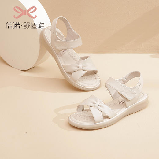 23L359-W16 商品图3