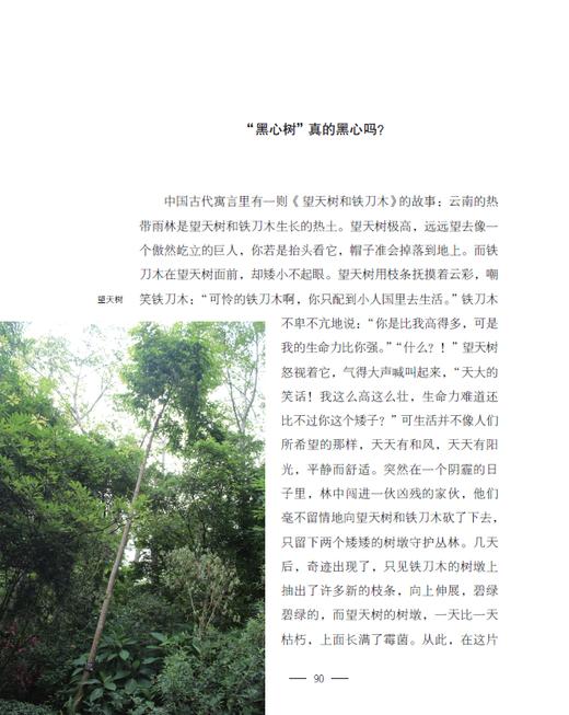 花木间的智慧：民族植物学自然笔记 商品图6