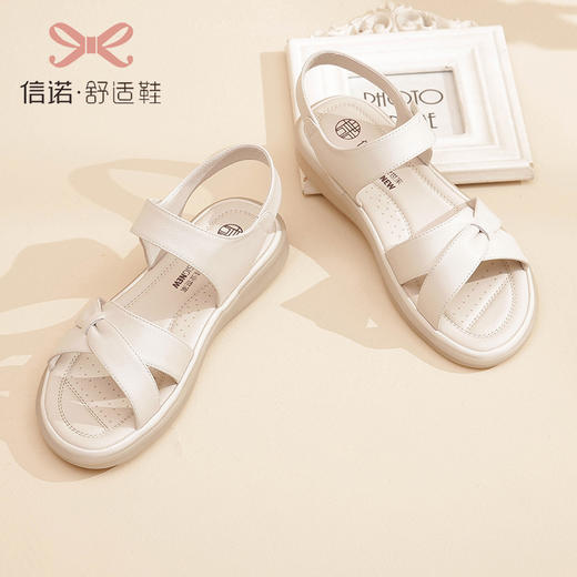 23L359-W16 商品图1