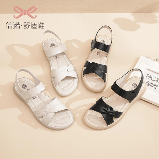 23L359-W16 商品图4