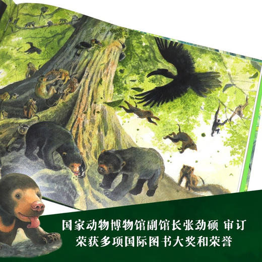 常与小熊 7-10岁 阮庄 著 儿童文学 商品图2