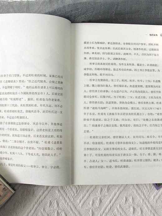 杜甫传 商品图6