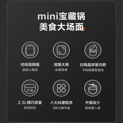 苏泊尔电压力锅SY-23FC39Q 商品图3