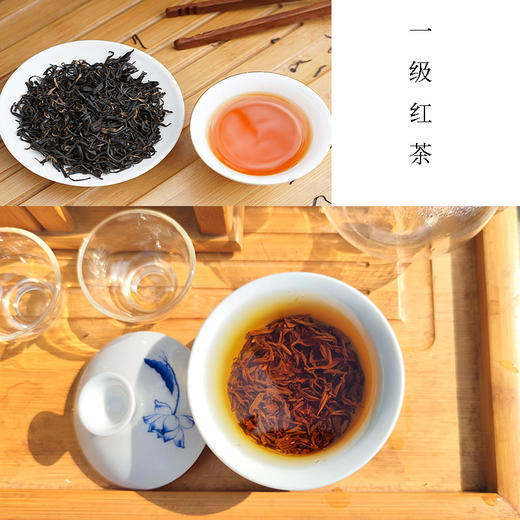 巴山早红茶绿茶组合2023年新茶毛尖绿茶250g/袋一级红茶150g/袋 商品图2