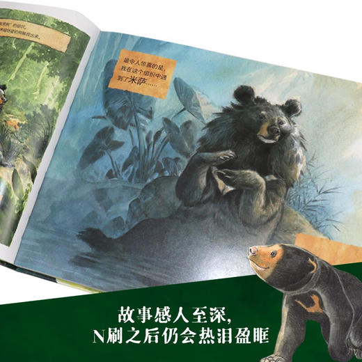 常与小熊 7-10岁 阮庄 著 儿童文学 商品图1