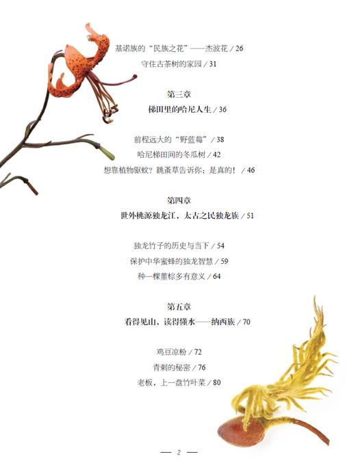花木间的智慧：民族植物学自然笔记 商品图3