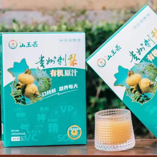 山果王有机刺梨原汁 商品图4