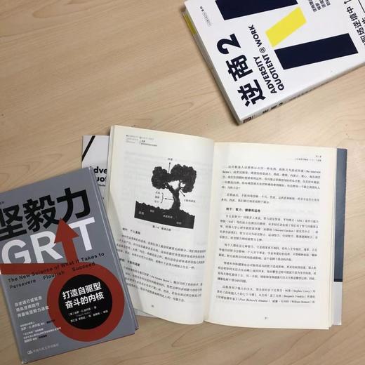 逆商：我们该如何应对坏事件 商品图4