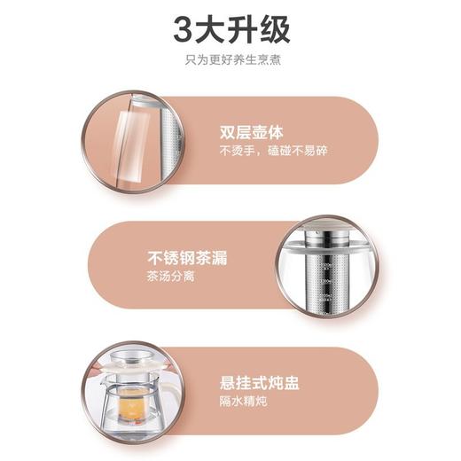 苏泊尔养生壶SW-15Y03 商品图1
