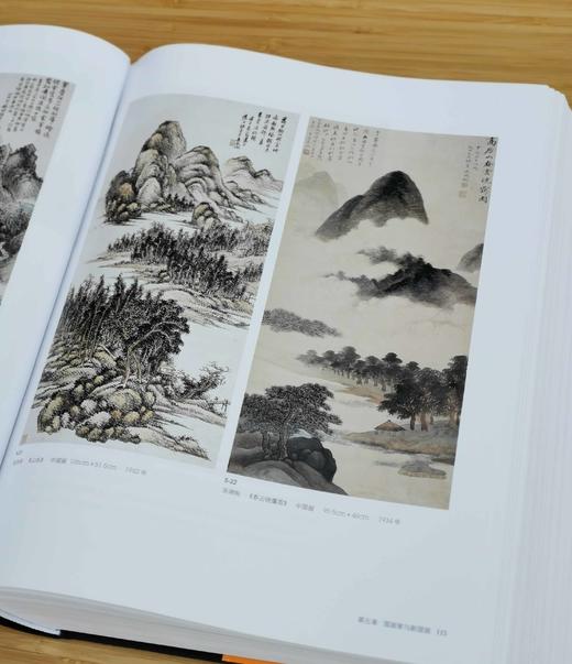 《20世纪中国艺术史》（第三版），大16开，精装铜版彩印，吕澎著，新星出版社2013年版，1242页，定价980，售价196元。 商品图14