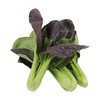 每日现摘  农家紫油菜  新鲜脆嫩  清口微甜 300g 商品缩略图4