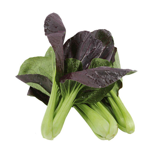 每日现摘  农家紫油菜  新鲜脆嫩  清口微甜 300g 商品图4