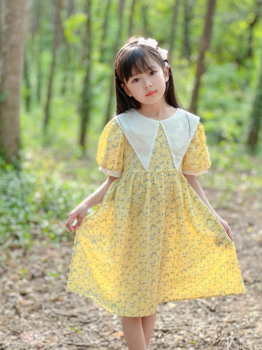 非质量问题不退不换哦~夏菊连衣裙 商品图0