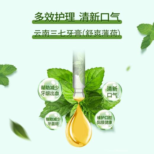 【临期特惠介意慎拍2025-3-31到期】云南三七牙膏（舒爽薄荷）180g 商品图2