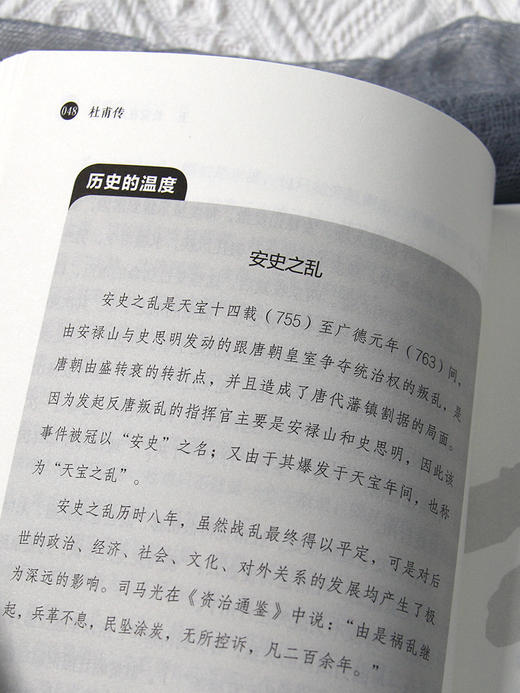 杜甫传 商品图2