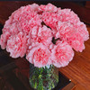 【粉色康乃馨】15支精选花材～随机送新鲜配叶 商品缩略图1