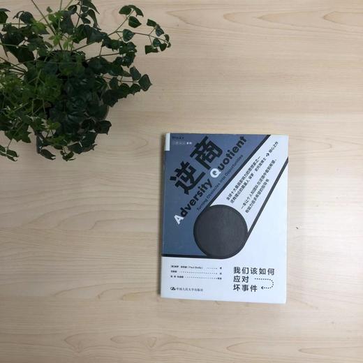 逆商：我们该如何应对坏事件 商品图3