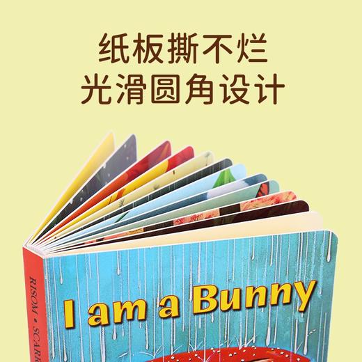 【点读版】小彼恩I am a Bunny 我是一只兔子 英文原版 商品图3