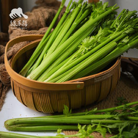 生态西芹 |合作生产* Ecological Cauliflower | Coproduction