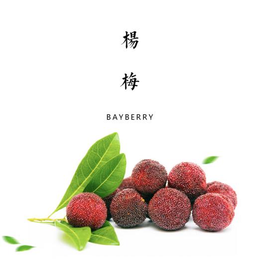 云南生态荸荠杨梅4斤(个头偏小) 产地：云南【基地直发】 商品图0