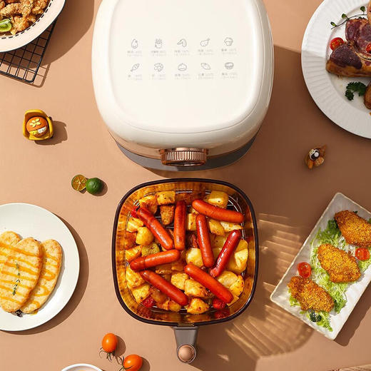 大宇（DAEWOO）家用电炸锅多功能可视窗口4L容量空气炸锅 DYKZ-4008暖阳白 商品图5