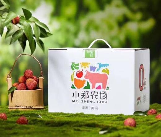 海南荔枝 妃子笑4.5斤 商品图0