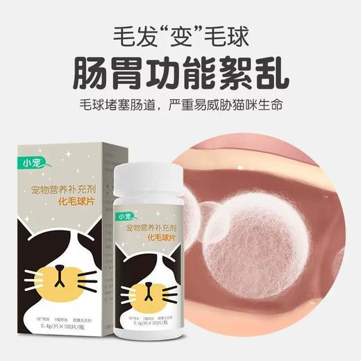 小宠化毛球片 肠胃保健 猫咪专用 商品图2