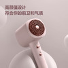 飞科负离子电吹风FH6356 商品缩略图3