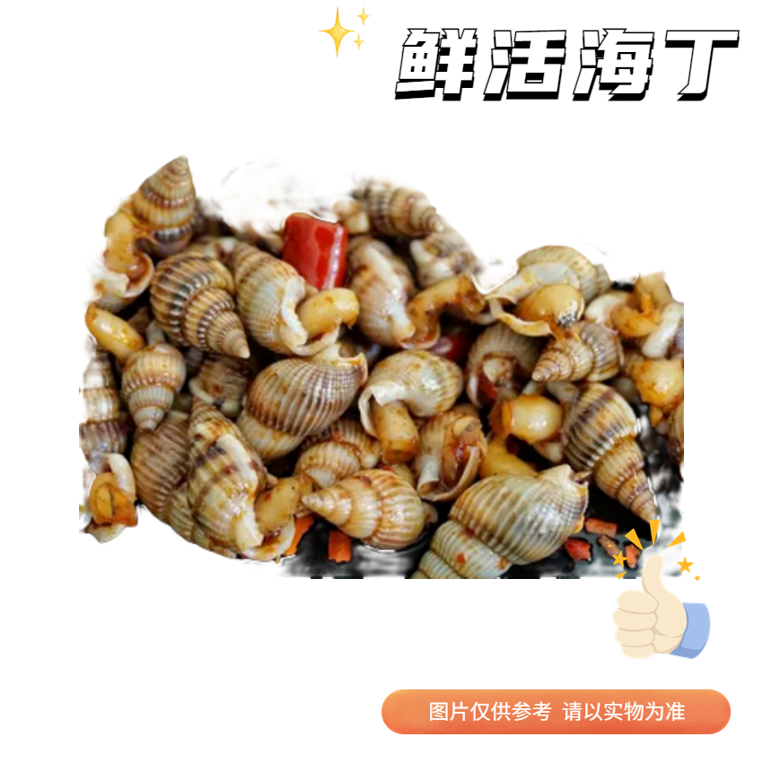 【鲜活】中海丁    【送货路上不保活  介意勿拍】