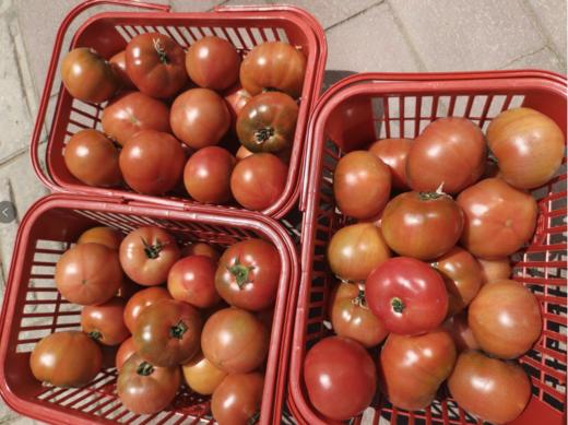 旮旯柿子一筐（拼团） 商品图2